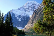 阿森纳客场不敌狼队，遭遇重大挫折