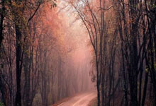 尤文图斯客场战胜切尔西，实现完美开局