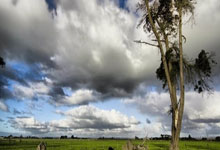 劲旅大战升温，角逐激情澎湃赛场引爆热潮