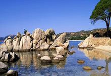 爵士九号位球员米切尔荣膺最佳新人